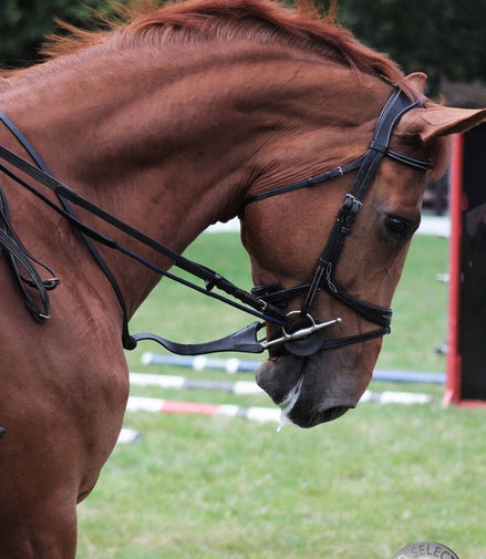 LJ Leathers Jump Assist By Symons Hulpteugels - Maddelin Equestrian LJ Leathers