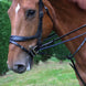 LJ Leathers Jump Assist By Symons Hulpteugels - Maddelin Equestrian LJ Leathers