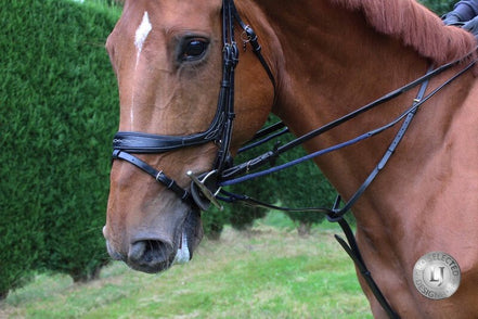 LJ Leathers Jump Assist By Symons Hulpteugels - Maddelin Equestrian LJ Leathers