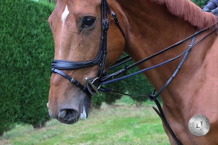 LJ Leathers Jump Assist By Symons Hulpteugels - Maddelin Equestrian LJ Leathers