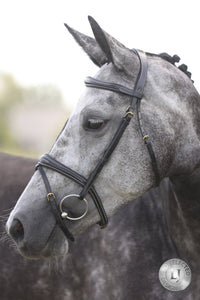 LJ Leathers London Anatomic Gecombineerde Neusriem Trenshoofdstellen - Maddelin Equestrian LJ Leathers
