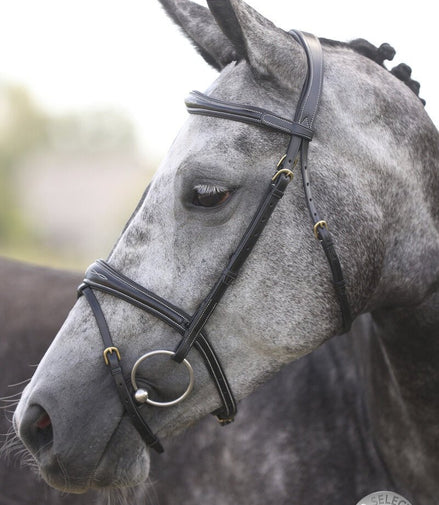 LJ Leathers London Anatomic Gecombineerde Neusriem Trenshoofdstellen - Maddelin Equestrian LJ Leathers