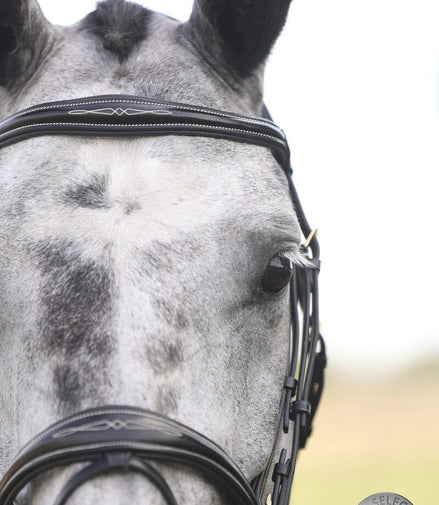 LJ Leathers London Anatomic Gecombineerde Neusriem Trenshoofdstellen - Maddelin Equestrian LJ Leathers