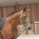 LJ Leathers Magic Longe Longeerbenodigdheden - Maddelin Equestrian LJ Leathers