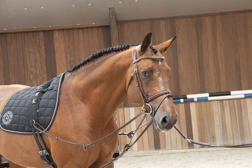 LJ Leathers Magic Longe Longeerbenodigdheden - Maddelin Equestrian LJ Leathers