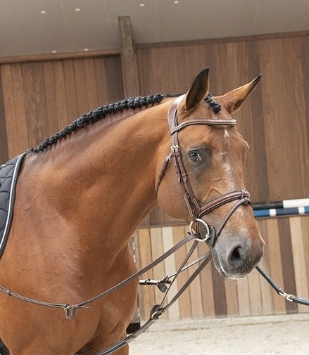 LJ Leathers Magic Longe Longeerbenodigdheden - Maddelin Equestrian LJ Leathers