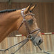 LJ Leathers Magic Longe Longeerbenodigdheden - Maddelin Equestrian LJ Leathers