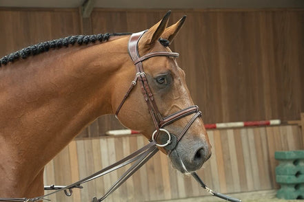 LJ Leathers Magic Longe Longeerbenodigdheden - Maddelin Equestrian LJ Leathers