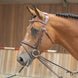 LJ Leathers Magic Longe Longeerbenodigdheden - Maddelin Equestrian LJ Leathers