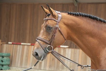 LJ Leathers Magic Longe Longeerbenodigdheden - Maddelin Equestrian LJ Leathers