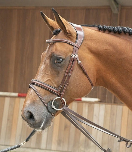 LJ Leathers Magic Longe Longeerbenodigdheden - Maddelin Equestrian LJ Leathers