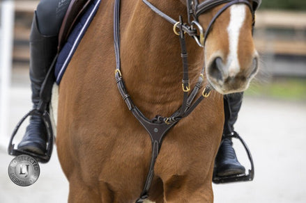 LJ Leathers Pro Selected Heritage Jachtmartingaal Borstriemen en martingalen - Maddelin Equestrian LJ Leathers