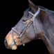 LJ Leathers Pro Selected Hoofdstel Heritage Trenshoofdstellen - Maddelin Equestrian LJ Leathers