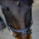 LJ Leathers Pro Selected Hoofdstel Heritage Trenshoofdstellen - Maddelin Equestrian LJ Leathers
