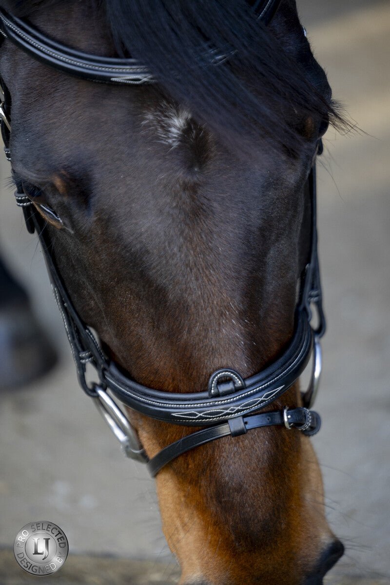 LJ Leathers Pro Selected Hoofdstel Heritage Trenshoofdstellen - Maddelin Equestrian LJ Leathers