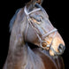 LJ Leathers Pro Selected Hoofdstel Heritage Trenshoofdstellen - Maddelin Equestrian LJ Leathers