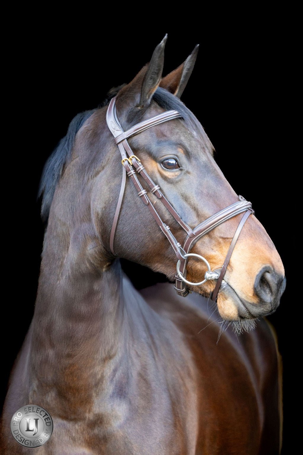LJ Leathers Pro Selected Hoofdstel Heritage Trenshoofdstellen - Maddelin Equestrian LJ Leathers