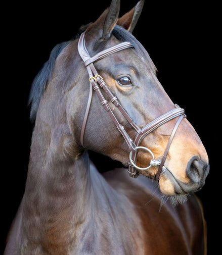 LJ Leathers Pro Selected Hoofdstel Heritage Trenshoofdstellen - Maddelin Equestrian LJ Leathers