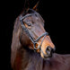LJ Leathers Pro Selected Hoofdstel Heritage Trenshoofdstellen - Maddelin Equestrian LJ Leathers