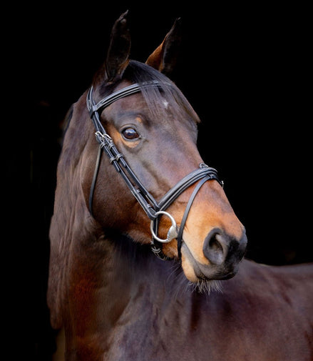 LJ Leathers Pro Selected Hoofdstel Heritage Trenshoofdstellen - Maddelin Equestrian LJ Leathers