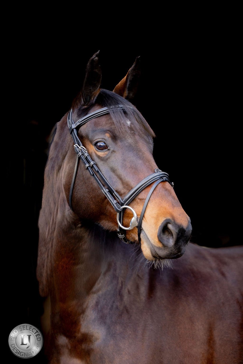 LJ Leathers Pro Selected Hoofdstel Heritage Trenshoofdstellen - Maddelin Equestrian LJ Leathers