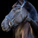 LJ Leathers Pro Selected Hoofdstel Sunline Black Trenshoofdstellen - Maddelin Equestrian LJ Leathers