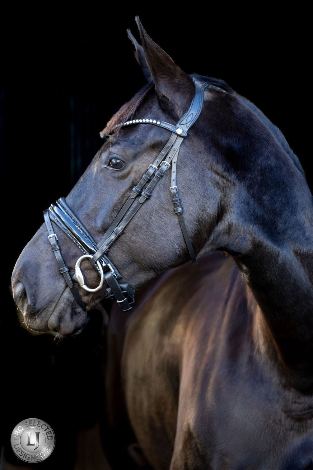 LJ Leathers Pro Selected Hoofdstel Sunline Black Trenshoofdstellen - Maddelin Equestrian LJ Leathers