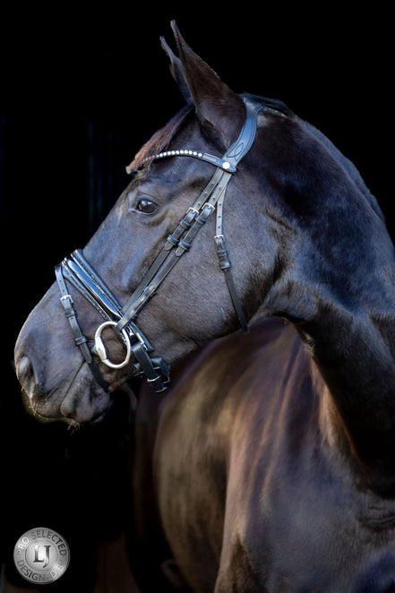 LJ Leathers Pro Selected Hoofdstel Sunline Black Trenshoofdstellen - Maddelin Equestrian LJ Leathers
