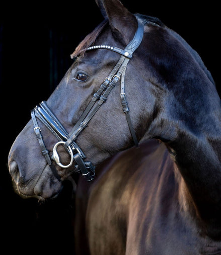 LJ Leathers Pro Selected Hoofdstel Sunline Black Trenshoofdstellen - Maddelin Equestrian LJ Leathers