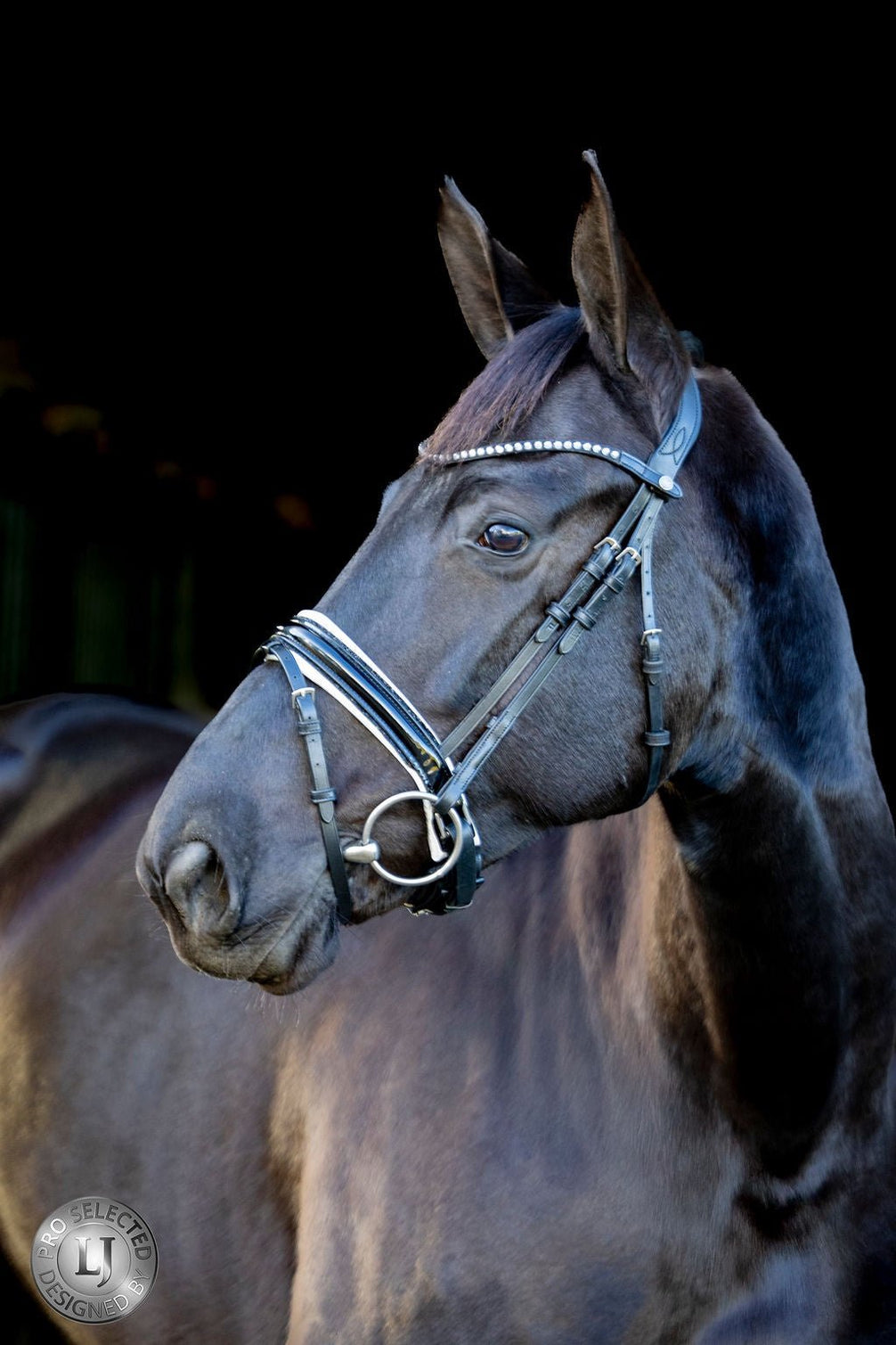 LJ Leathers Pro Selected Hoofdstel Sunline Black Trenshoofdstellen - Maddelin Equestrian LJ Leathers