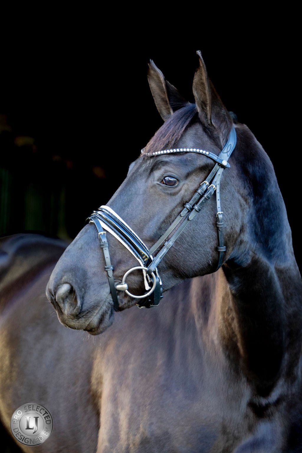 LJ Leathers Pro Selected Hoofdstel Sunline Black Trenshoofdstellen - Maddelin Equestrian LJ Leathers
