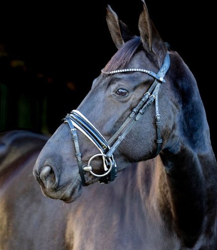 LJ Leathers Pro Selected Hoofdstel Sunline Black Trenshoofdstellen - Maddelin Equestrian LJ Leathers