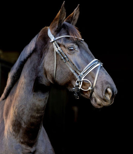 LJ Leathers Pro Selected Hoofdstel Sunline Black Trenshoofdstellen - Maddelin Equestrian LJ Leathers