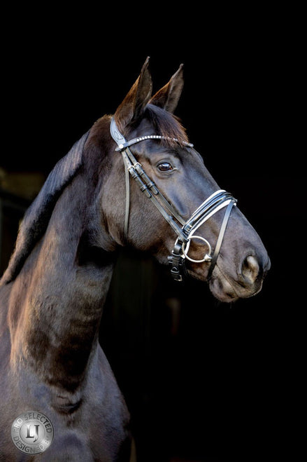 LJ Leathers Pro Selected Hoofdstel Sunline Black Trenshoofdstellen - Maddelin Equestrian LJ Leathers