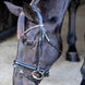 LJ Leathers Pro Selected Hoofdstel Sunline Black Trenshoofdstellen - Maddelin Equestrian LJ Leathers