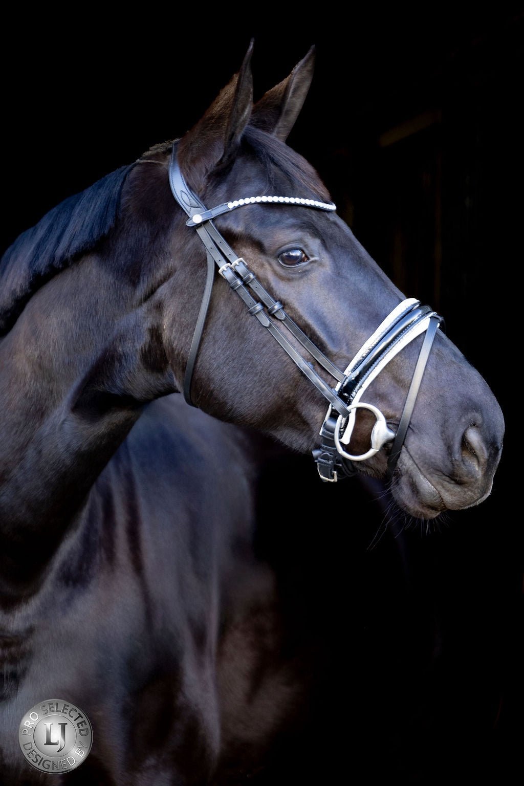 LJ Leathers Pro Selected Hoofdstel Sunline Silver Trenshoofdstellen - Maddelin Equestrian LJ Leathers