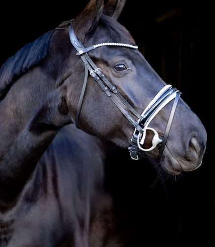 LJ Leathers Pro Selected Hoofdstel Sunline Silver Trenshoofdstellen - Maddelin Equestrian LJ Leathers