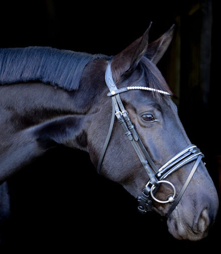 LJ Leathers Pro Selected Hoofdstel Sunline Silver Trenshoofdstellen - Maddelin Equestrian LJ Leathers