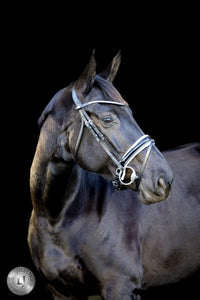 LJ Leathers Pro Selected Hoofdstel Sunline Silver Trenshoofdstellen - Maddelin Equestrian LJ Leathers
