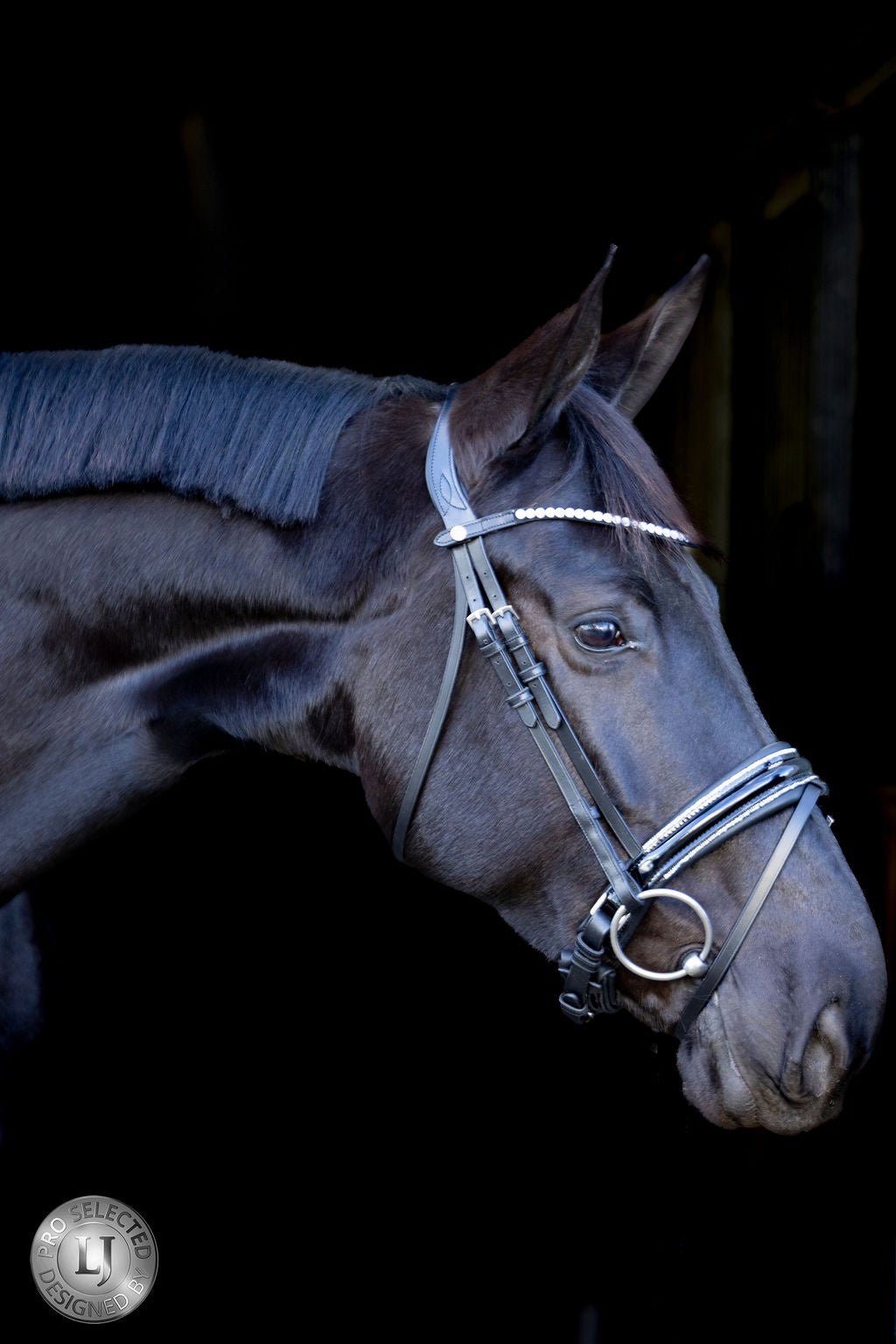 LJ Leathers Pro Selected Hoofdstel Sunline Silver Trenshoofdstellen - Maddelin Equestrian LJ Leathers