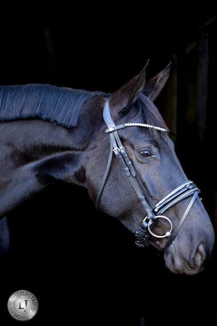 LJ Leathers Pro Selected Hoofdstel Sunline Silver Trenshoofdstellen - Maddelin Equestrian LJ Leathers