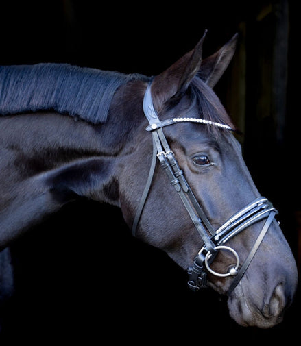 LJ Leathers Pro Selected Hoofdstel Sunline Silver Trenshoofdstellen - Maddelin Equestrian LJ Leathers