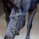 LJ Leathers Pro Selected Hoofdstel Sunline Silver Trenshoofdstellen - Maddelin Equestrian LJ Leathers