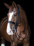 LJ Leathers Pro Selected SERRENA Stang/Trens rond Stang & Trens - Maddelin Equestrian LJ Leathers