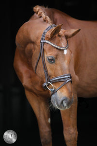 LJ Leathers Pro Selected SERRENTO Trens; Rondgenaaid Trenshoofdstellen - Maddelin Equestrian LJ Leathers