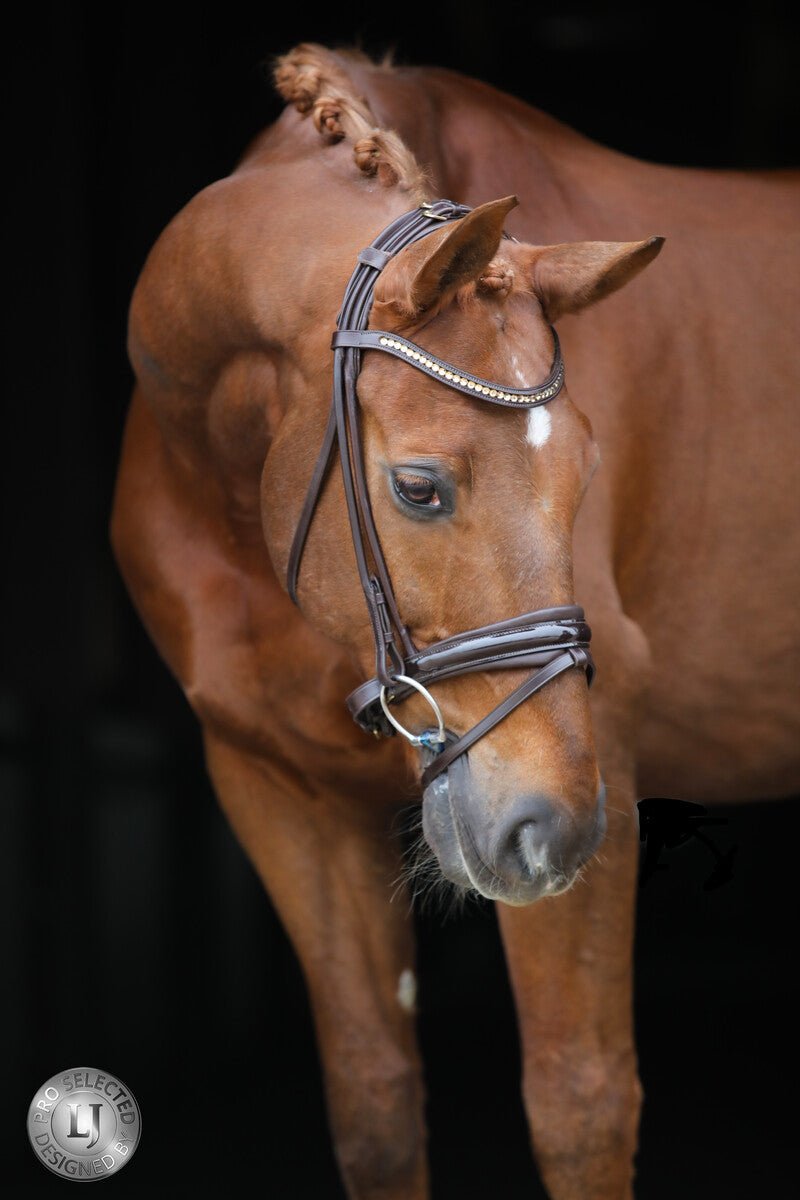 LJ Leathers Pro Selected SERRENTO Trens; Rondgenaaid Trenshoofdstellen - Maddelin Equestrian LJ Leathers