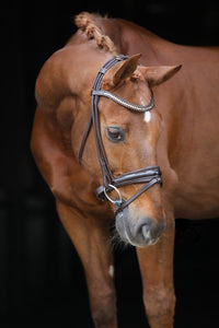 LJ Leathers Pro Selected SERRENTO Trens; Rondgenaaid Trenshoofdstellen - Maddelin Equestrian LJ Leathers