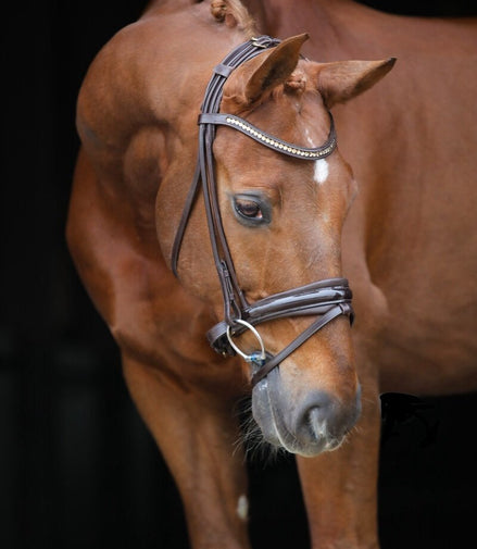 LJ Leathers Pro Selected SERRENTO Trens; Rondgenaaid Trenshoofdstellen - Maddelin Equestrian LJ Leathers