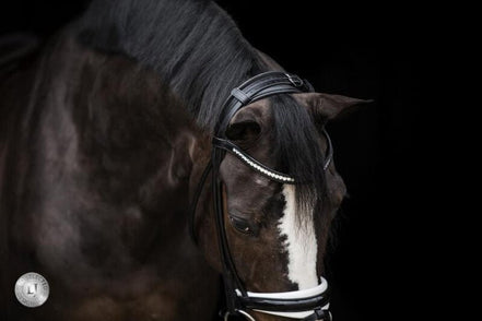 LJ Leathers Pro Selected SERRENTO Trens; Rondgenaaid Trenshoofdstellen - Maddelin Equestrian LJ Leathers