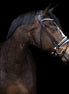 LJ Leathers Pro Selected SERRENTO Trens; Rondgenaaid Trenshoofdstellen - Maddelin Equestrian LJ Leathers